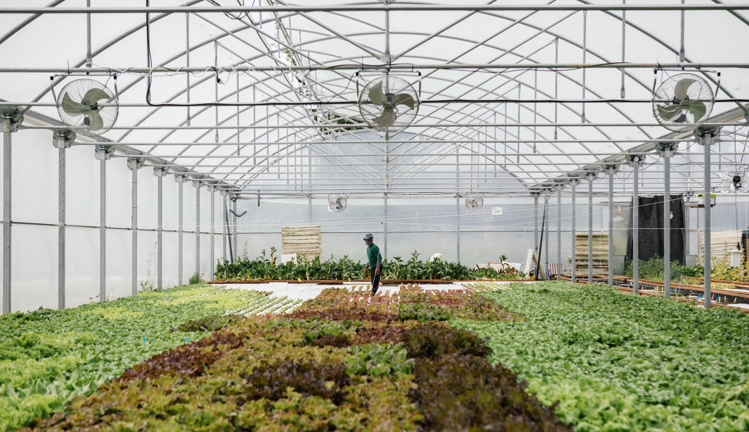 Les Nouvelles Fermes cultivent leur amorçage CFNEWS